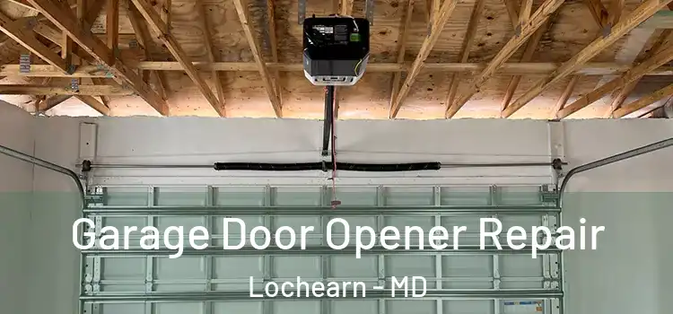  Garage Door Opener Repair Lochearn - MD