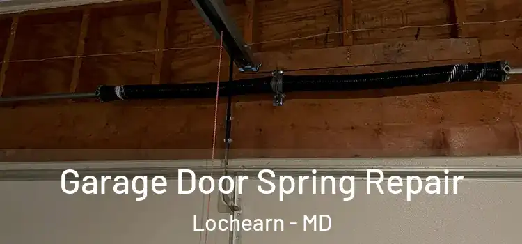  Garage Door Spring Repair Lochearn - MD