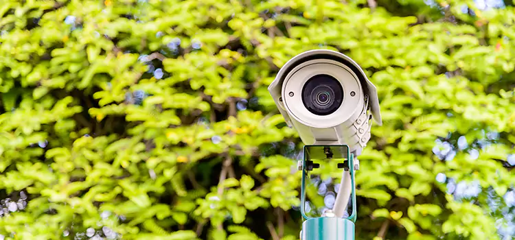 Advanced Surveillance Solutions for Every Need in Lochearn