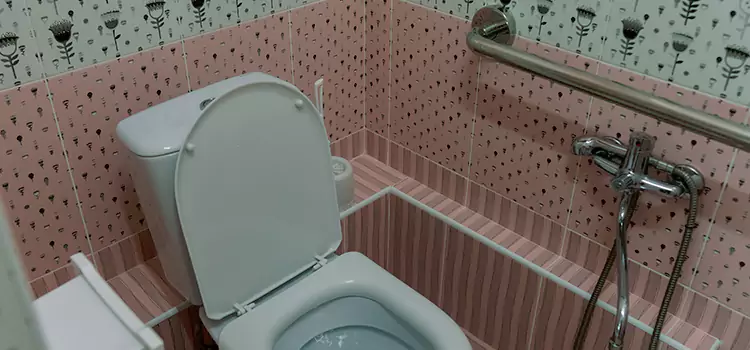 Meeting Diverse Needs With Accessible Restroom Solutions in Lochearn, MD